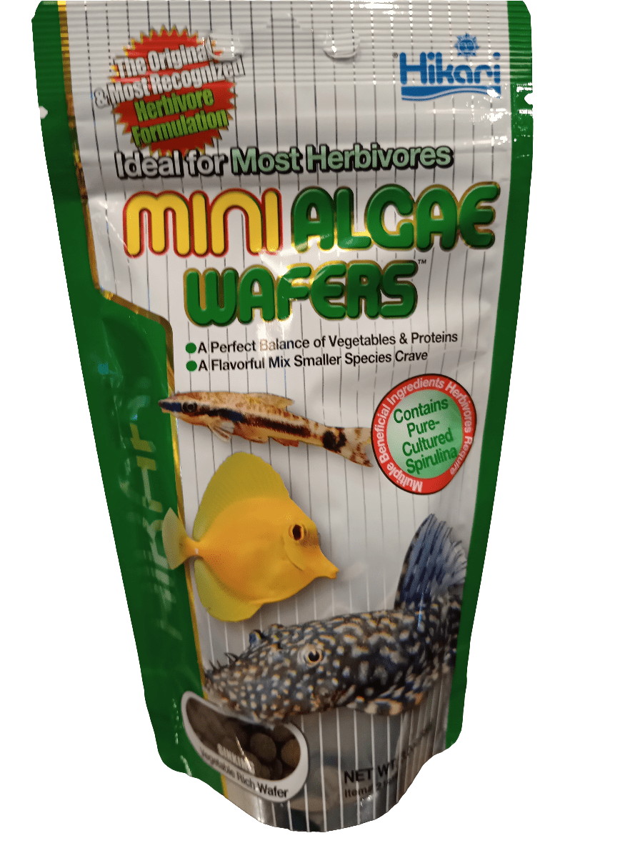 A green and white package of Hikari Mini Algae Wafers (3.0 oz/85g) showcases images of a yellow fish and a spotted fish. Perfect for most herbivores, these vegetable-rich sinking wafers contain pure cultured spirulina, making them ideal for smaller species.