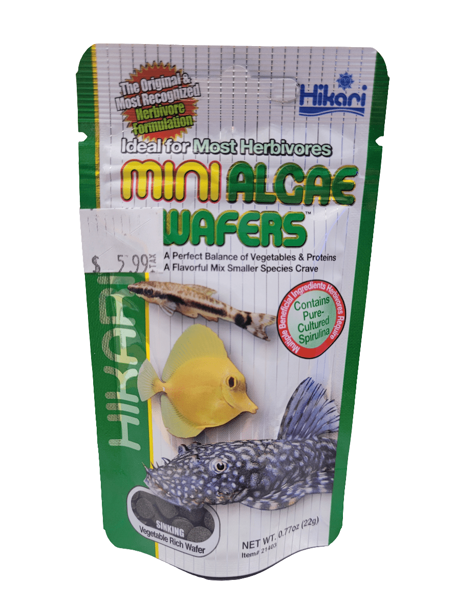 A package of Hikari - Mini Algae Wafers - .77oz designed for herbivorous fish. The green packaging showcases images of fish, emphasizes the nutrient content, and has a price tag of $5.99. The net weight is 0.77 oz (22g).