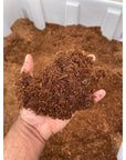 ReptiEarth Breeder Blocks and Bundles