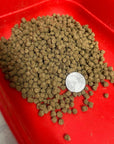 NEW! Dry Pellets - 25/25/50 Omnivore blend + Insects
