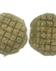 Raw, Freeze-Dried 25/25/50 Patties for Bearded Dragons and Blue Tongued Skinks