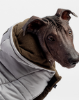 Jackson Dog Jacket - Grey