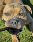 Whole-Prey Ultra-Blend Jerky Links for Dogs