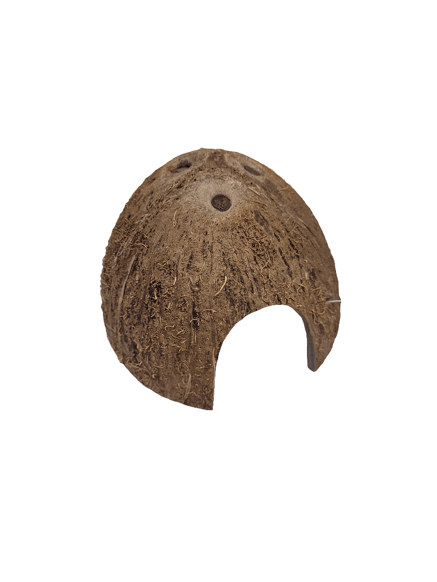 The Joshs Frogs - Coconut Shell Cave is a hollow half-shell of a brown coconut with a natural rough texture, highlighted by three small round indentations on the top and a larger oval opening on one side.