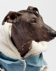 Justin - Denim Dog Jacket