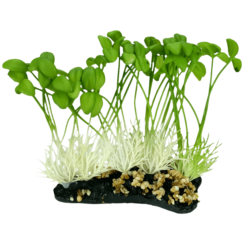 The Komodo - Realistic Sprouts Decor is an aquatic decoration featuring vibrant green leaves and white roots with pebbles at the base, along with long stems that enhance its realistic appearance.