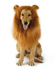 Lion Theme Dog Wig