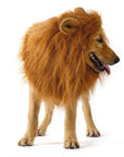 Lion Theme Dog Wig