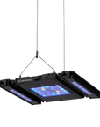 Meridian Hanging Wires