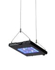 Meridian 11