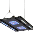 Edge Articulating Mounts