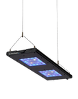 Meridian Hanging Wires