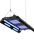 Edge Articulating Mounts
