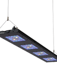 Meridian 45