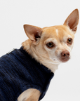 Mia Dog Sweater - Blue