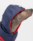 Noah Dog Jacket - Blue