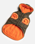 Noah Dog Jacket - Cypress