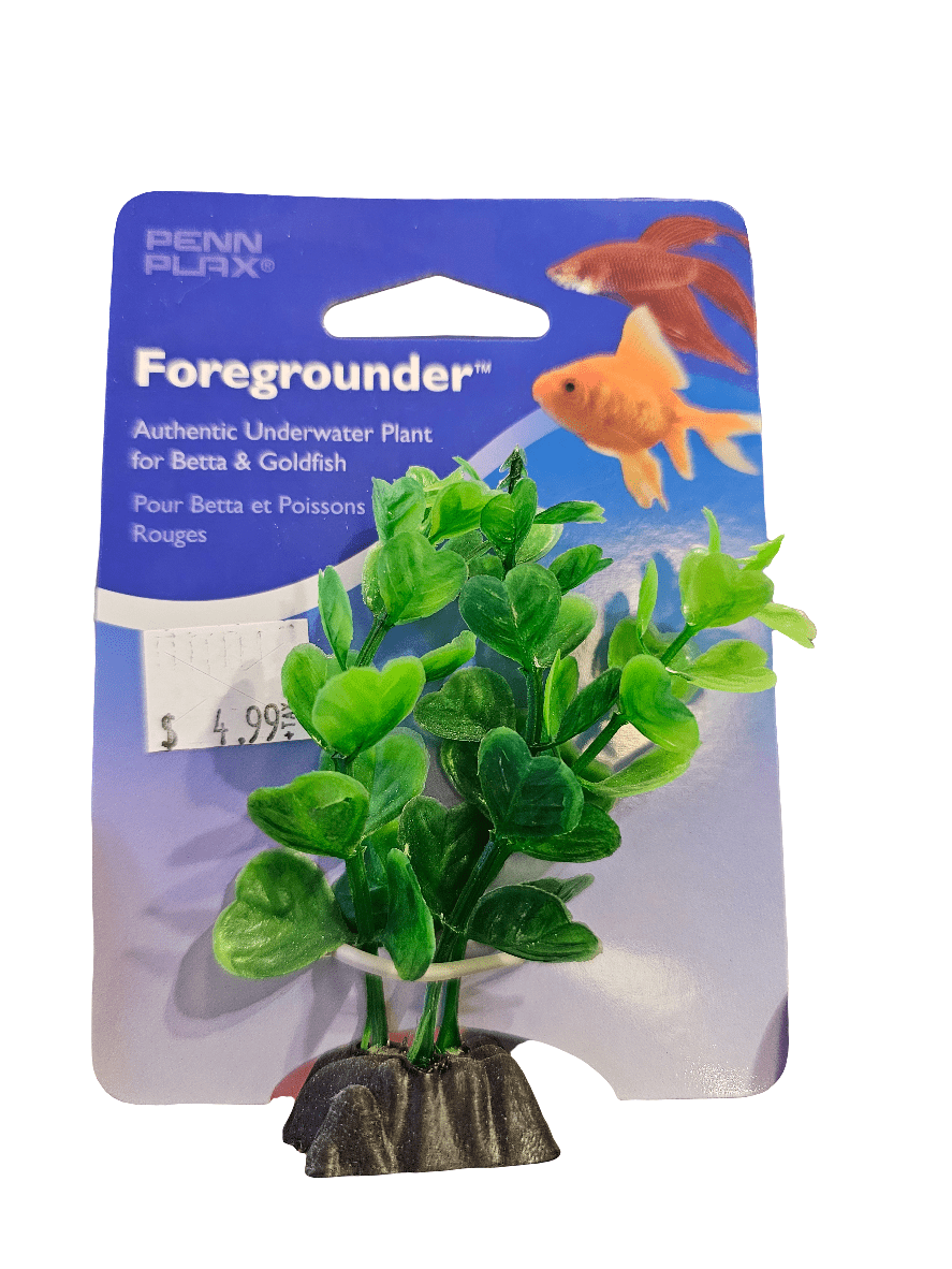 A packaged aquarium plant labeled Green Clover Sml by Penn Plax. The packaging features a goldfish image and indicates it is suitable for Betta and goldfish. The bright green plant comes with a small black base and is priced at $4.99.