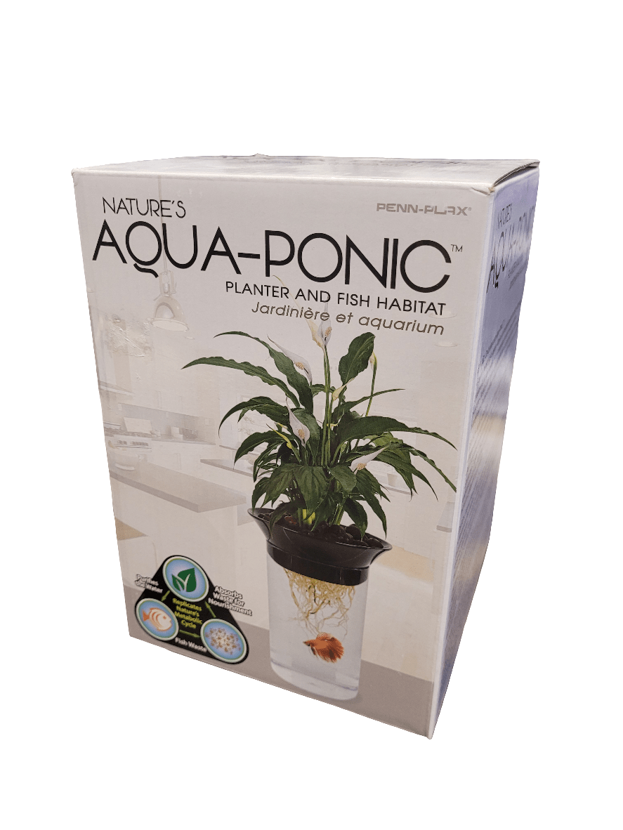 A white box labeled Penn-Plax - Hydroponic Betta System featuring an image of a plant growing above an aquarium with a goldfish inside. Text in English and French describes the product's features.