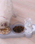 Pet Bowl Automatic Feeder Dog Cat Food Bowl with Water Dispenser