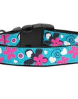 Pet Dog & Cat Nylon Collar or Leash, "Aqua Love"