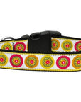 Pet Dog & Cat Nylon Collar or Leash, "Autumn Daisies"