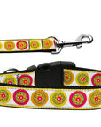 Pet Dog & Cat Nylon Collar or Leash, "Autumn Daisies"