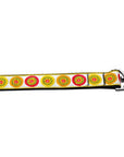 Pet Dog & Cat Nylon Collar or Leash, "Autumn Daisies"