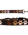 Pet Dog & Cat Nylon Collar or Leash, "Solidarity Paws"