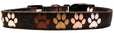 Pet Dog & Cat Nylon Collar or Leash, "Solidarity Paws"