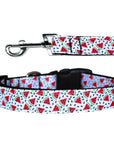 Pet Dog & Cat Nylon Collar or Leash, "Watermelon"