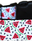 Pet Dog & Cat Nylon Collar or Leash, "Watermelon"