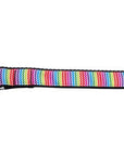 Pet Dog & Cat Nylon Collar or Leash, "Zigzaggy Rainbow"