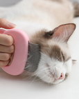 Pet Massage Brush Pet Grooming Massage Tool To Remove Loose Hairs