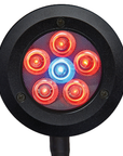 ReefBreeders Pico LED