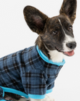 Plaid Dog Pajama - Blue