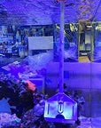 Flipper Platinum Credit Card Aquarium Algae Scraper Stainless Steel Blades