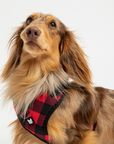 Poplin Dog Harness - Red Plaid