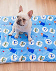 Portable Pet Dog Bed Blankets Washable Puppy Blanket Pad Winter Warm