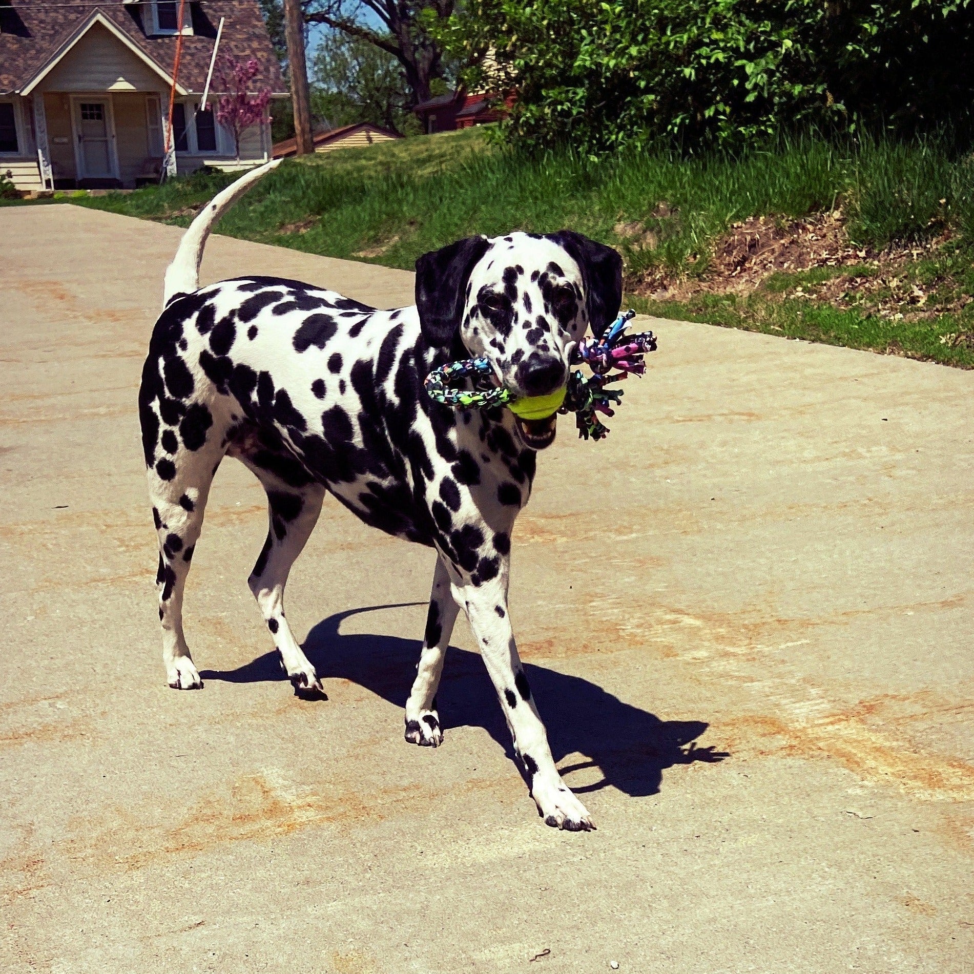 ReRope Medium Knotty Upcycled Fabric Rope Dog Toys