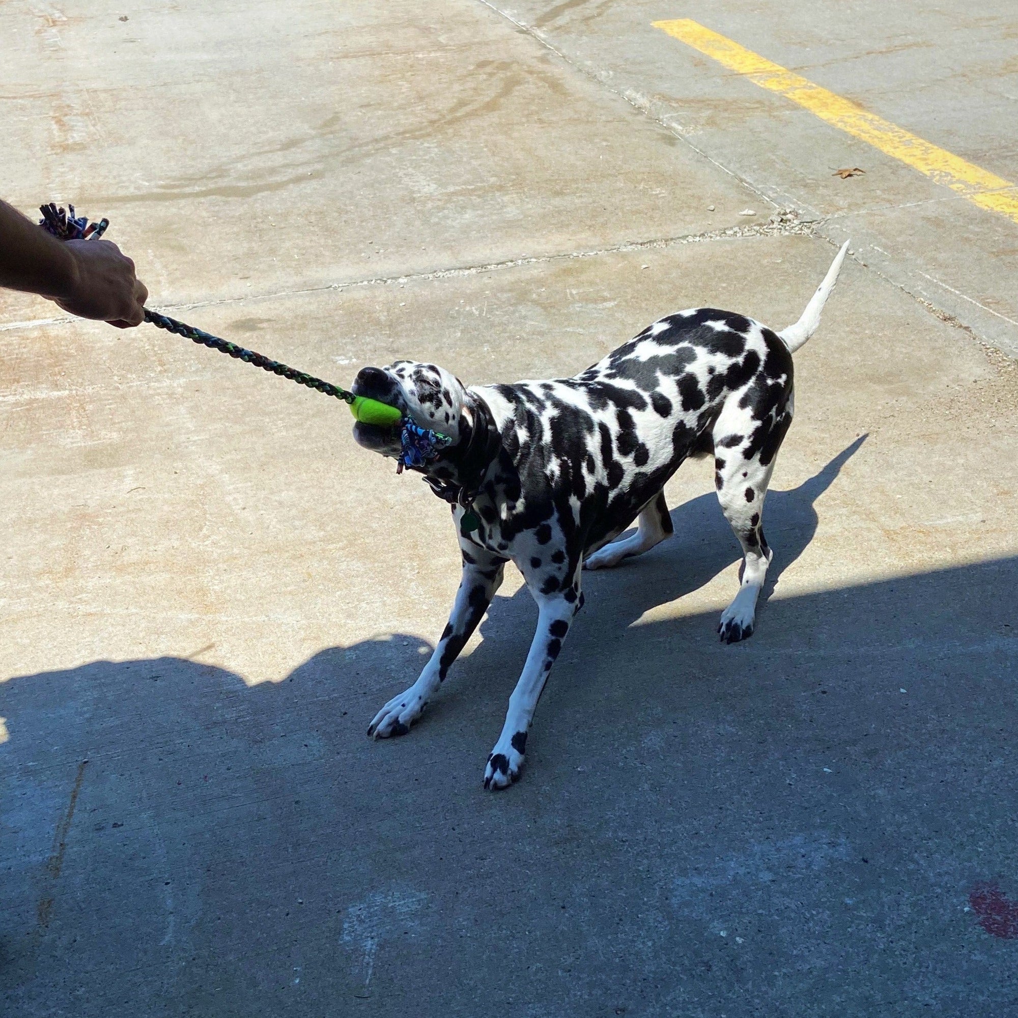 ReRope Small Looper Upcycled Fabric Rope Dog Toys