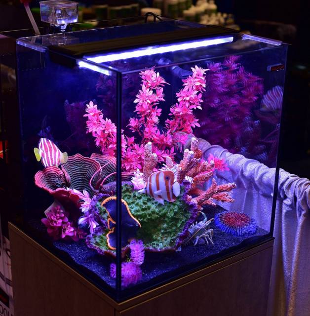 The AQUATOP Recife ECO 40 Gallon Tank &amp; Stand Combo (Black) showcases colorful fish amid pink corals and greenery. It’s lit by a purple light, with biological filtration media highlighting the diverse textures and hues of the underwater scene.