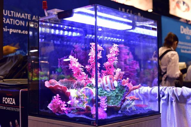 AQUATOPs Recife ECO 40 Gallon Tank &amp; Stand Combo in black displays vibrant pink coral, colorful rocks, and a striped clownfish. Enhanced by a Multi-stage Filter Box, it ensures optimal water quality against a blurred exhibition or store backdrop.