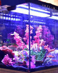 AQUATOPs Recife ECO 40 Gallon Tank & Stand Combo in black displays vibrant pink coral, colorful rocks, and a striped clownfish. Enhanced by a Multi-stage Filter Box, it ensures optimal water quality against a blurred exhibition or store backdrop.