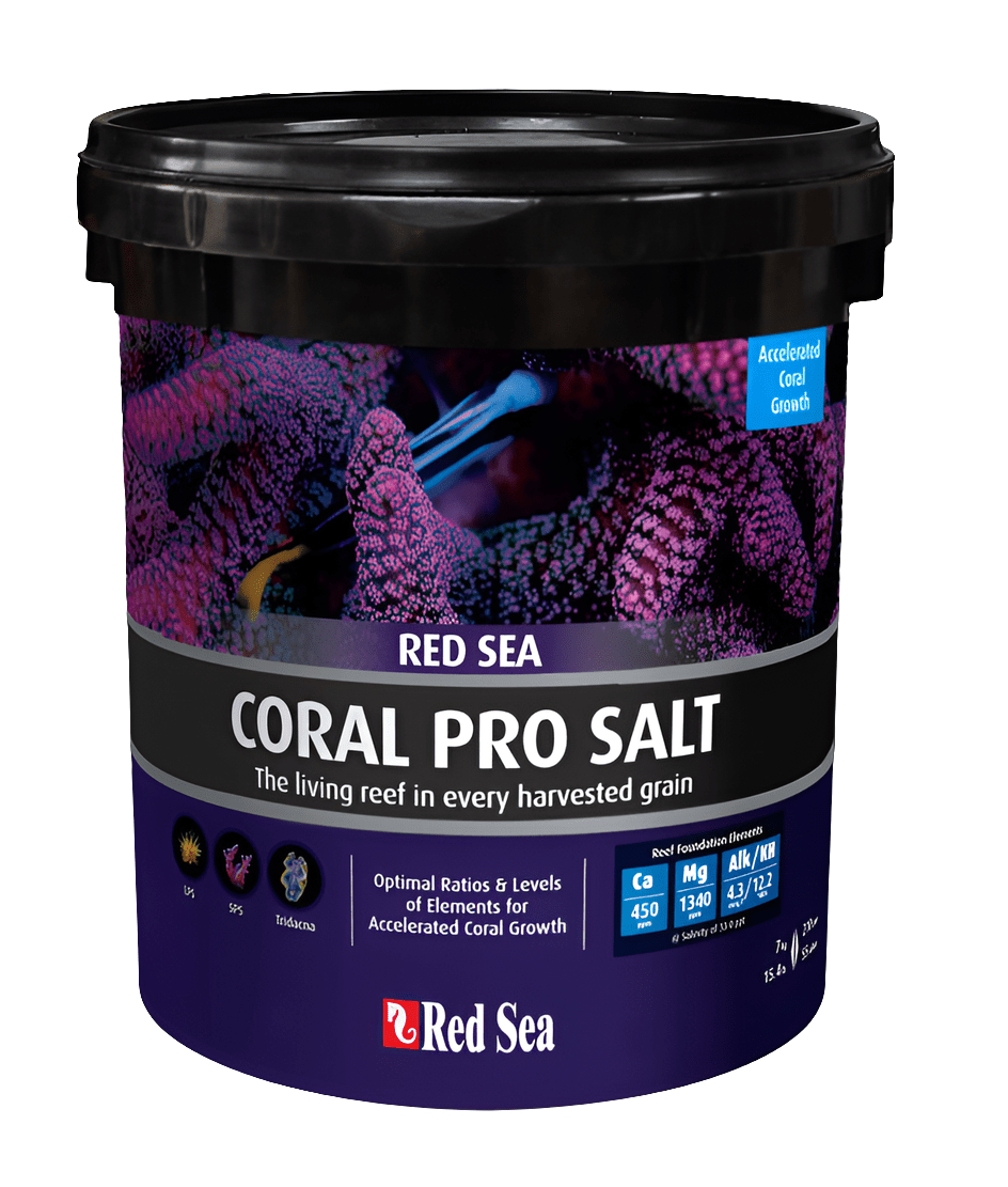 A bucket of Red Sea Coral Pro 55 Gallon Dry Mix features a label with purple coral imagery and text that highlights its ability to promote accelerated coral growth. The product is described as offering optimal ratios and levels of essential elements for coral growth, with a capacity of 15 kg/55 L.