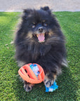 Rubber Football Dog Chew Toy with Tug Rope -- Great for Active Dogs --