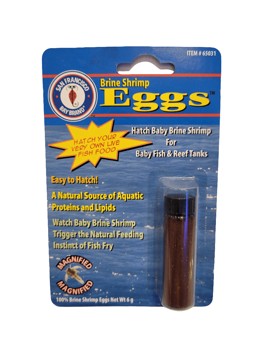 The San Francisco Bay - Brine Shrimp Eggs - 6g product comes in blue packaging and includes a small vial. The text highlights key benefits, such as being easy to hatch, serving as a natural source of aquatic proteins, and being ideal for baby fish and reef tanks, emphasizing its role in hatching and providing nutritional feeding for fish.