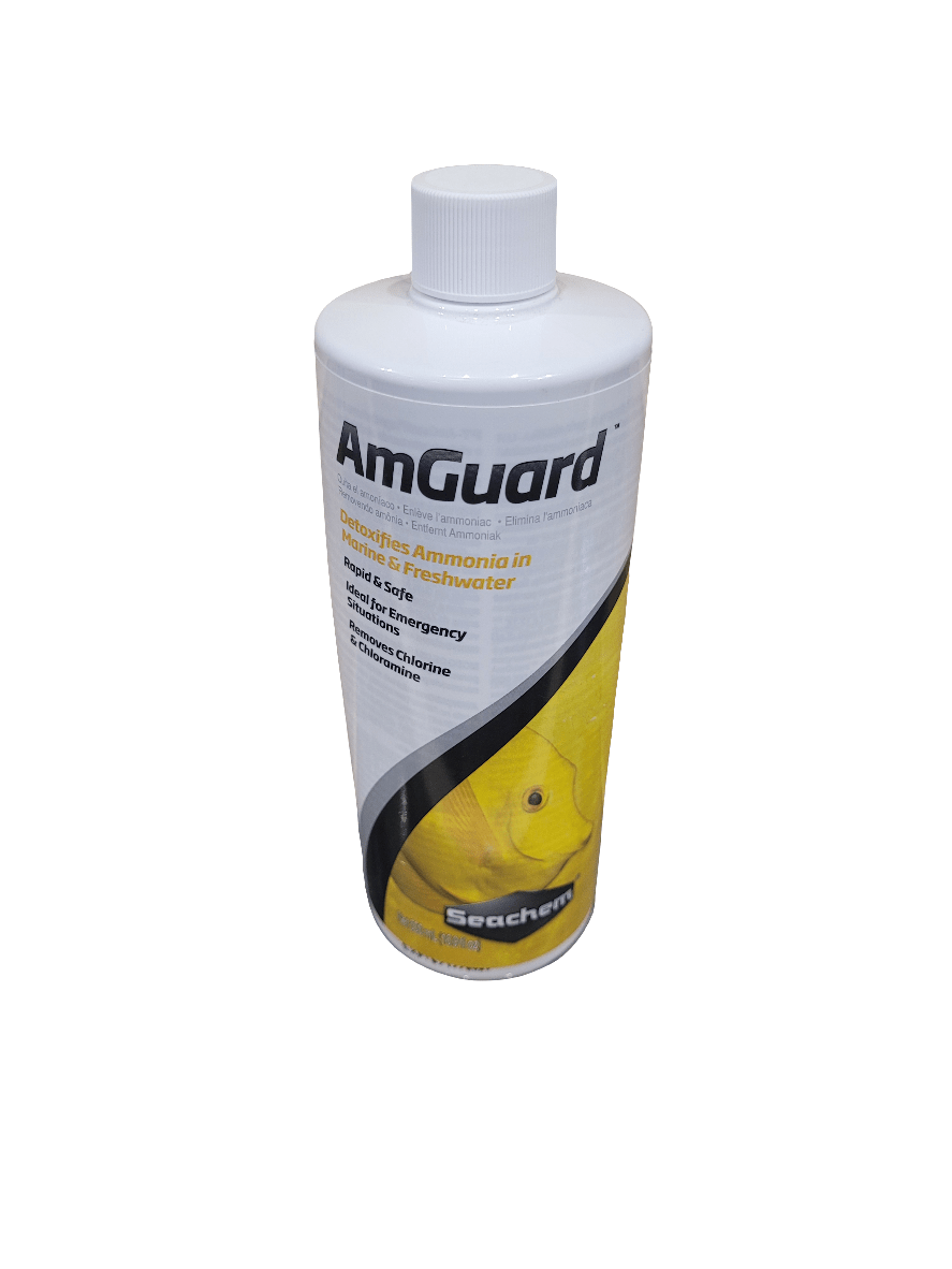 A bottle of Seachem AmGuard, with a capacity of 500ml, showcases a glossy finish and a screw cap. It features a yellow fish graphic on its white surface, with the label emphasizing its function for detoxifying ammonia in both marine and freshwater aquariums.