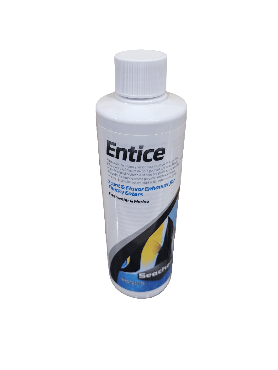 A white cylindrical bottle labeled Seachem - Entice features a blue and black design. It serves as a scent and flavors enhancer for fish and is suitable for both freshwater and marine environments. The bottle is equipped with a white screw cap.