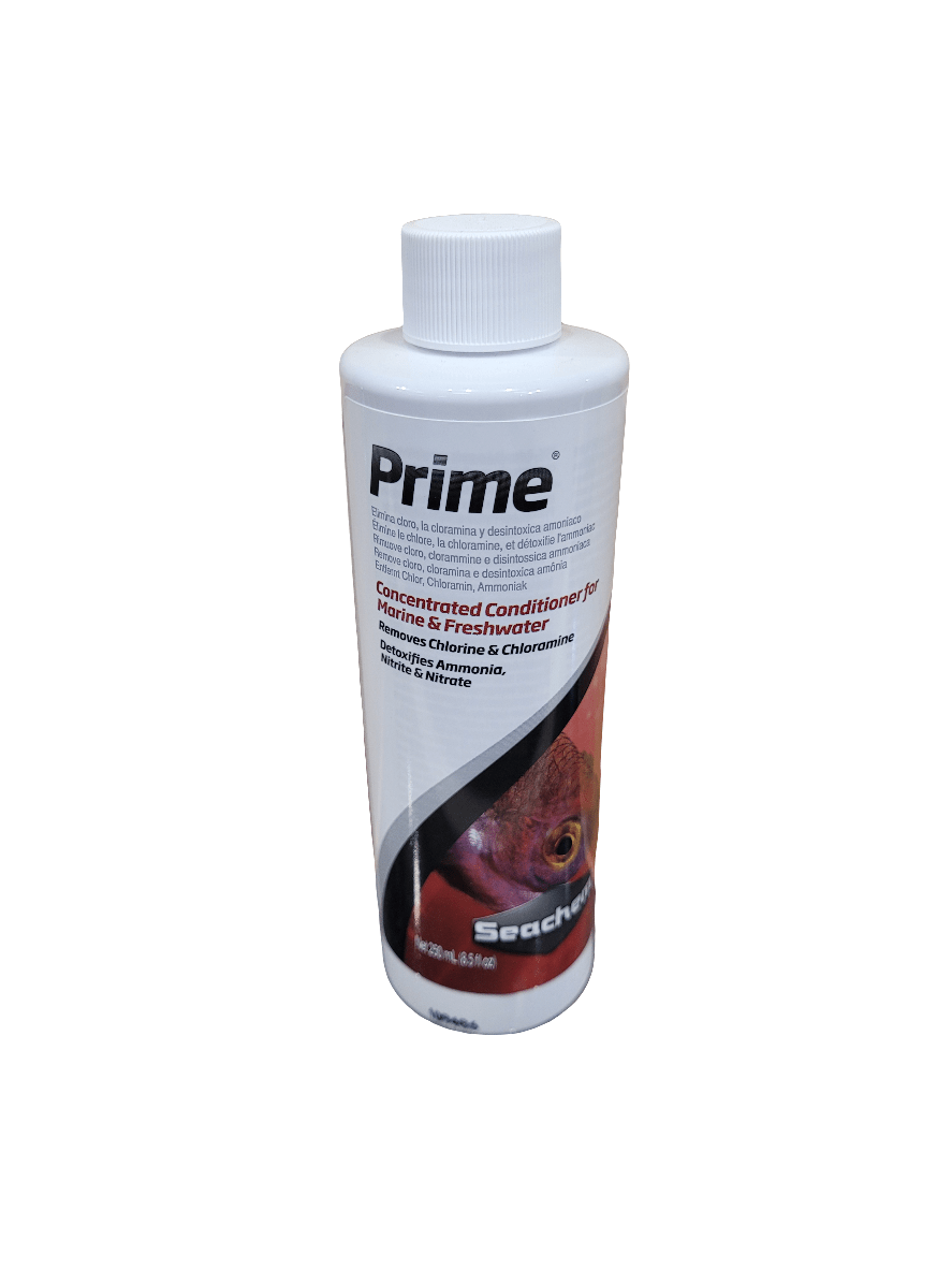 A white bottle of Seachem - Prime - 250ml concentrated conditioner for marine and freshwater aquariums. It treats tap water by removing chlorine, chloramine, and ammonia. The bottle features a red and black label with an image of a fish.